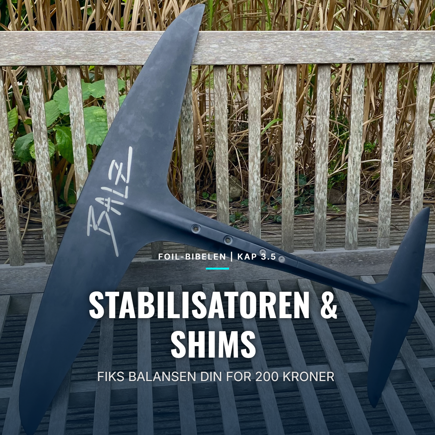 sabfoil blackbird